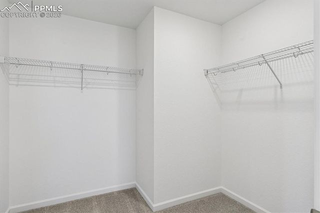 7872 Turkey Flat Lane, Colorado Springs, CO 80925