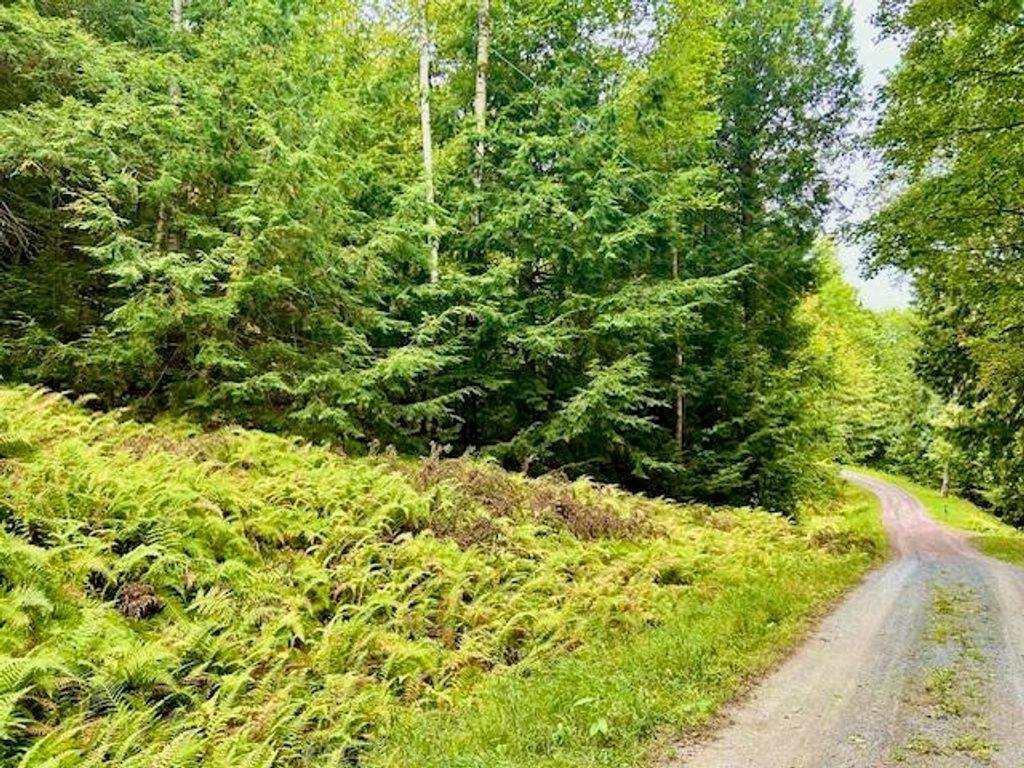Longfellow Road # 4, Haverhill, NH 03785