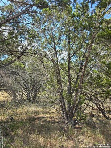 2142 Alto Lago, Canyon Lake, TX 78133