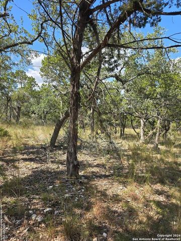 2142 Alto Lago, Canyon Lake, TX 78133