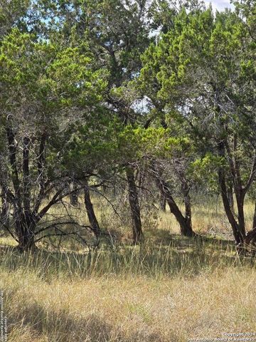 2142 Alto Lago, Canyon Lake, TX 78133