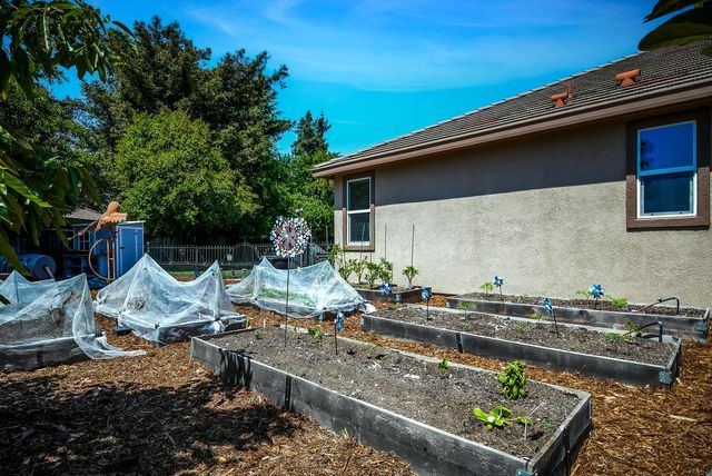 2385 Giannoni Way, Lodi, CA 95242