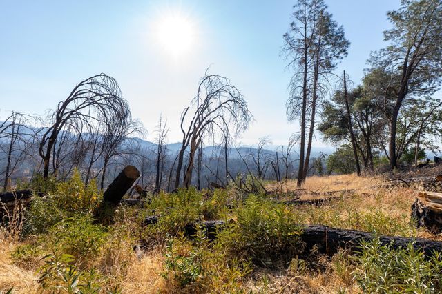 000 Wintu Way, Redding, CA 96003