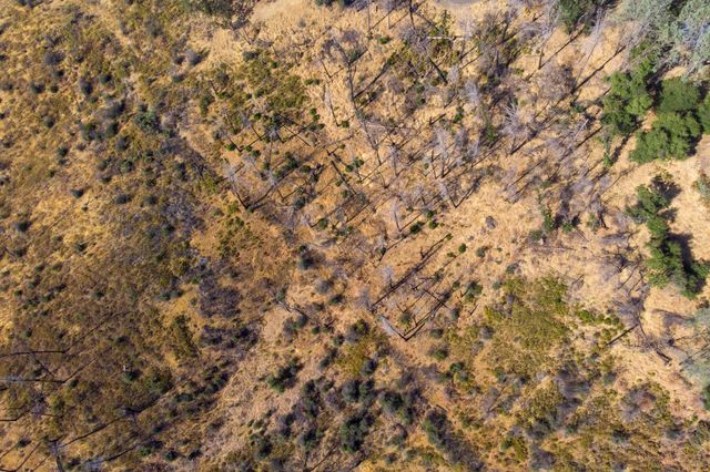 000 Wintu Way, Redding, CA 96003