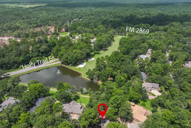 120 Rainbow Cove, Holly Lake Ranch, TX 75765