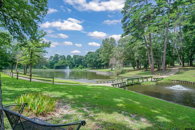 120 Rainbow Cove, Holly Lake Ranch, TX 75765