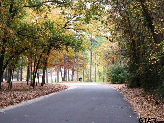 120 Rainbow Cove, Holly Lake Ranch, TX 75765