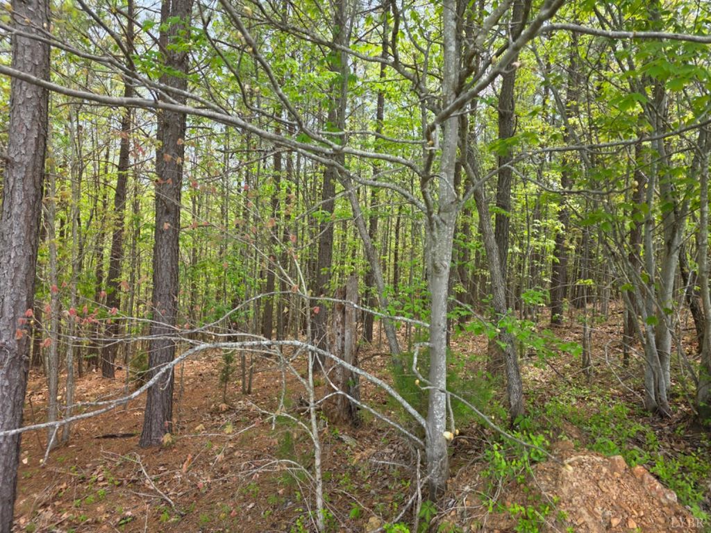 Image 8 of property listing at 0 Gardner Farm Road, Appomattox, VA 24522