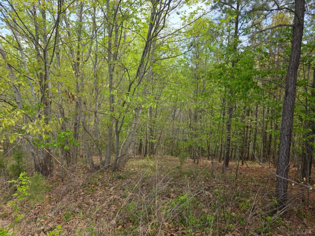 Image 9 of property listing at 0 Gardner Farm Road, Appomattox, VA 24522