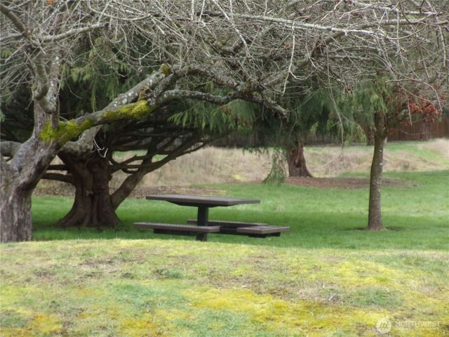 10509 Yelm Terra Street SE, Yelm, WA 98597