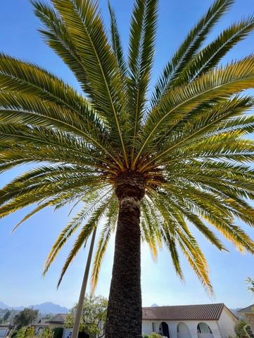 16620 San Salvador Ct, San Diego, CA 92128