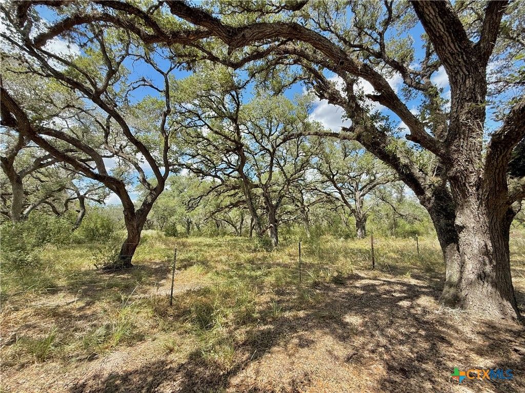 Image 10 of property listing at 4668 Old Hwy Rd, Inez, TX 77968