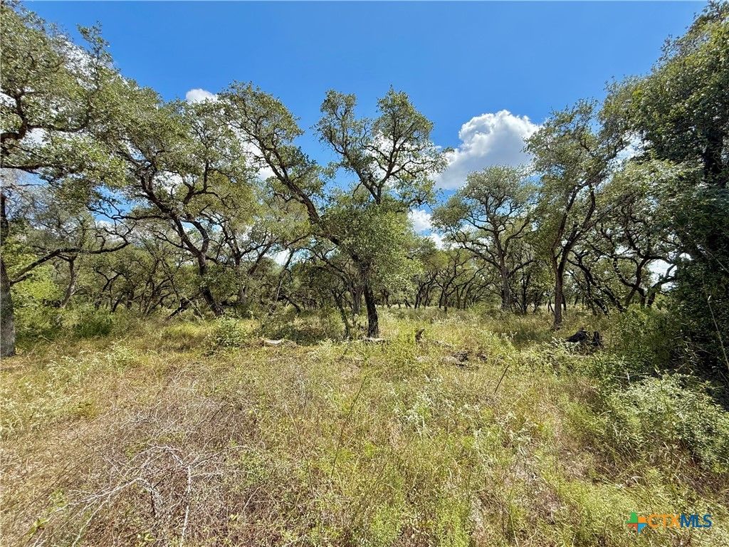 Image 11 of property listing at 4668 Old Hwy Rd, Inez, TX 77968