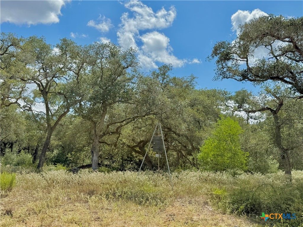 Image 12 of property listing at 4668 Old Hwy Rd, Inez, TX 77968