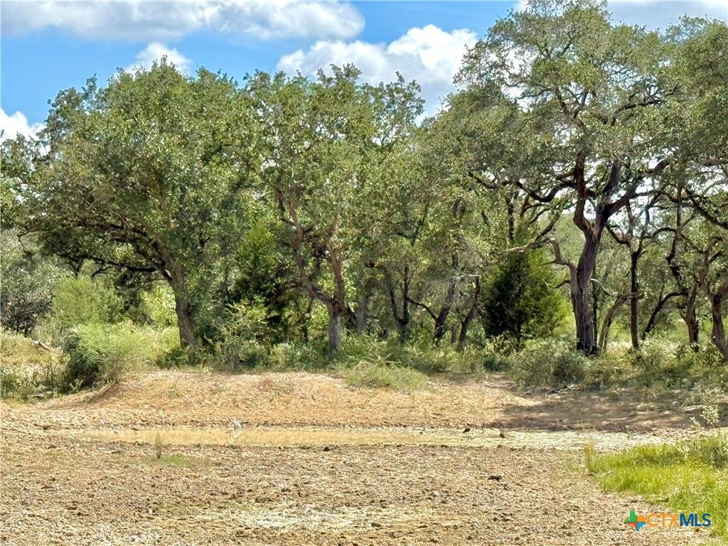 Image 13 of property listing at 4668 Old Hwy Rd, Inez, TX 77968