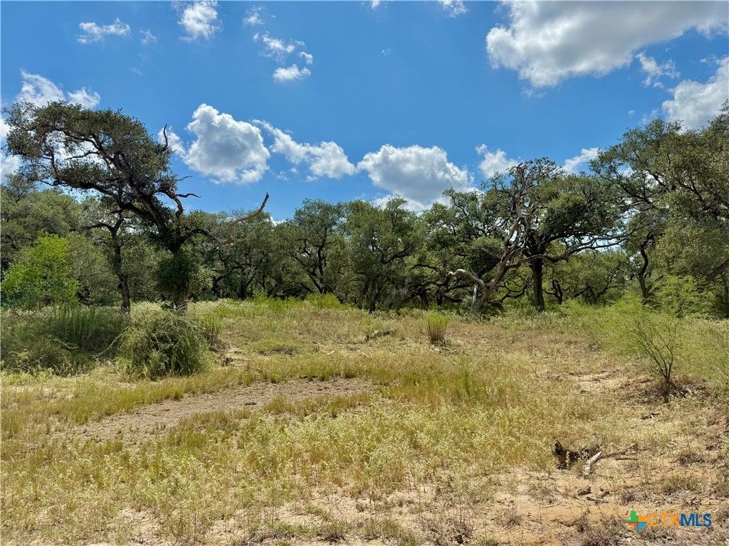 Image 15 of property listing at 4668 Old Hwy Rd, Inez, TX 77968