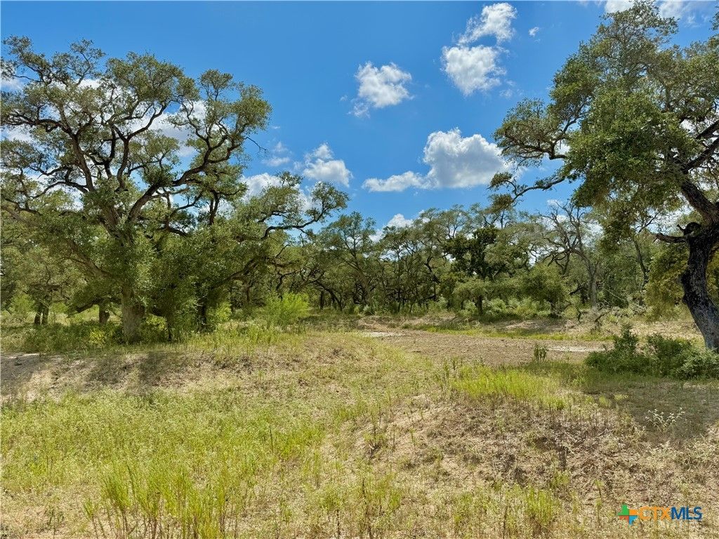 Image 16 of property listing at 4668 Old Hwy Rd, Inez, TX 77968