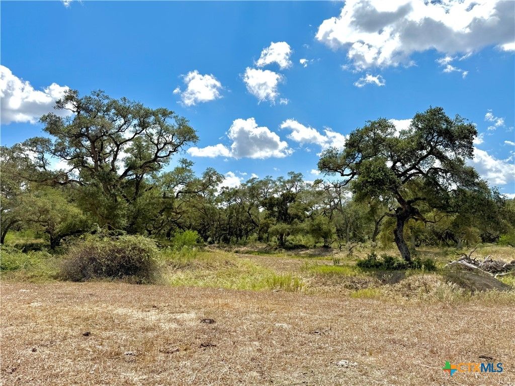Image 17 of property listing at 4668 Old Hwy Rd, Inez, TX 77968