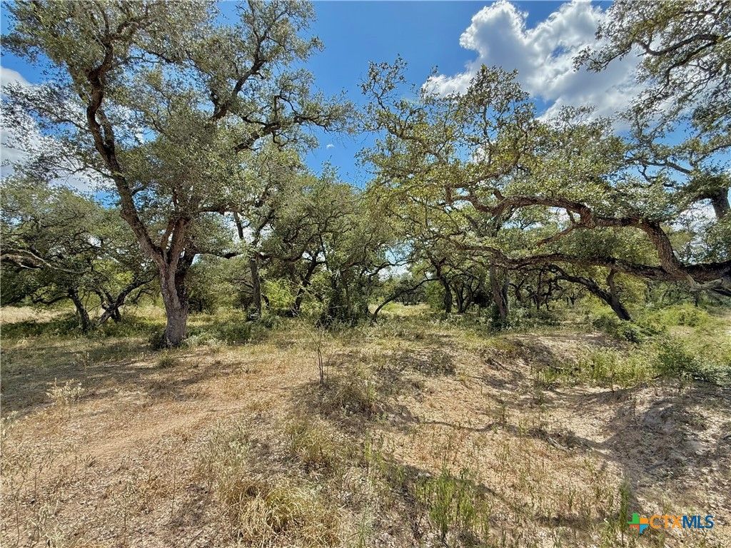 Image 18 of property listing at 4668 Old Hwy Rd, Inez, TX 77968