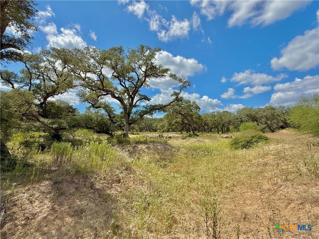 Image 19 of property listing at 4668 Old Hwy Rd, Inez, TX 77968