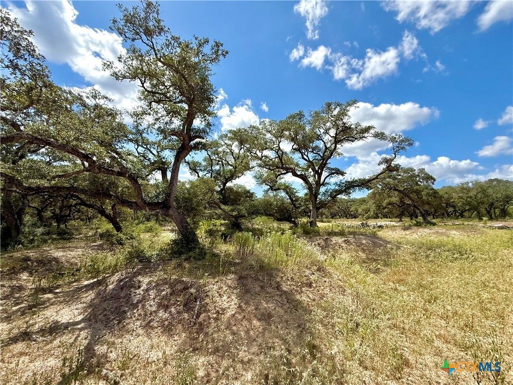 Image 20 of property listing at 4668 Old Hwy Rd, Inez, TX 77968