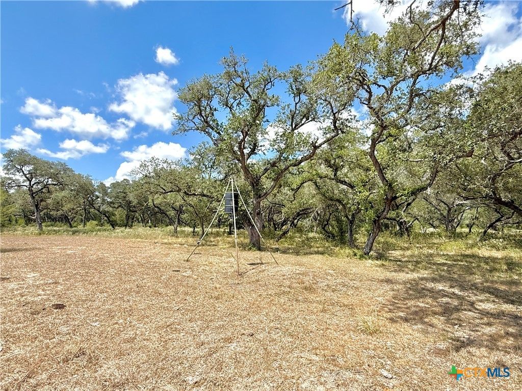 Image 22 of property listing at 4668 Old Hwy Rd, Inez, TX 77968