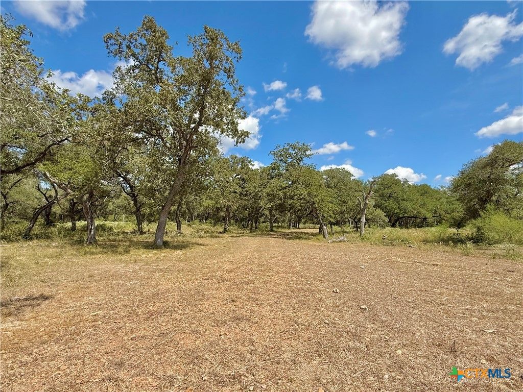 Image 23 of property listing at 4668 Old Hwy Rd, Inez, TX 77968