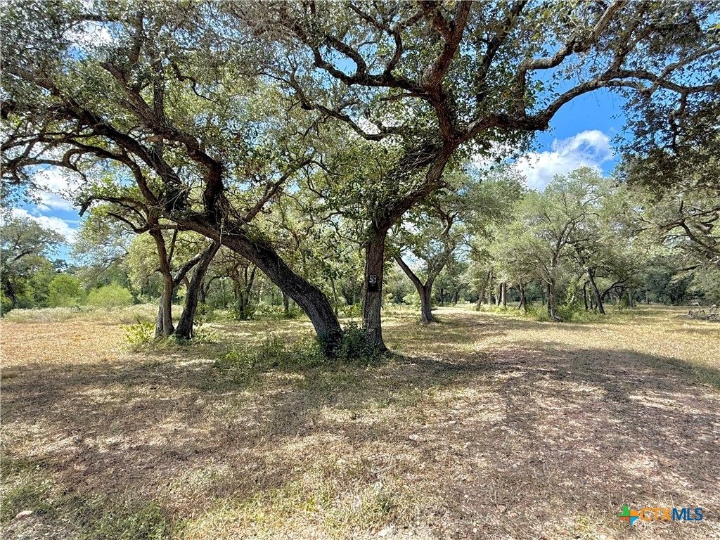 Image 24 of property listing at 4668 Old Hwy Rd, Inez, TX 77968