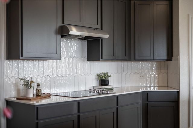 1905 Red Berry PASS, Georgetown, TX 78628