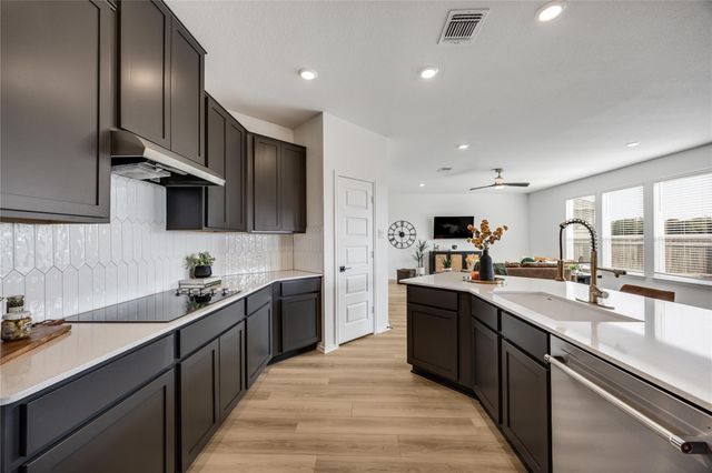 1905 Red Berry PASS, Georgetown, TX 78628