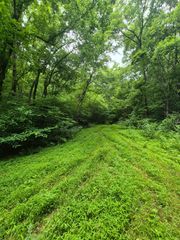 0 Williams Rd, Cornersville, TN 37047
