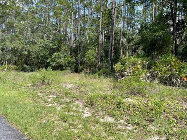 LOT 23 SW TIGER LAKE BOULEVARD W, Dunnellon, FL 34431