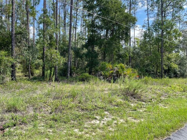 LOT 23 SW TIGER LAKE BOULEVARD W, Dunnellon, FL 34431