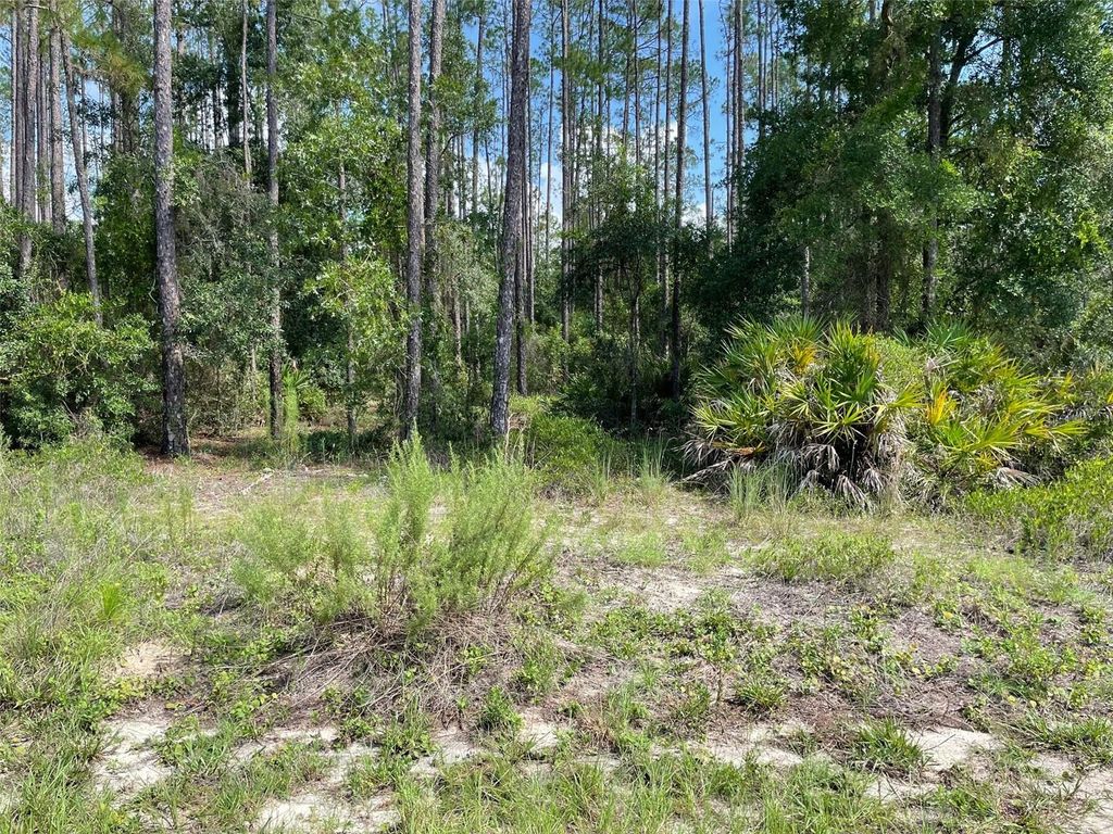 LOT 23 SW TIGER LAKE BOULEVARD W, Dunnellon, FL 34431