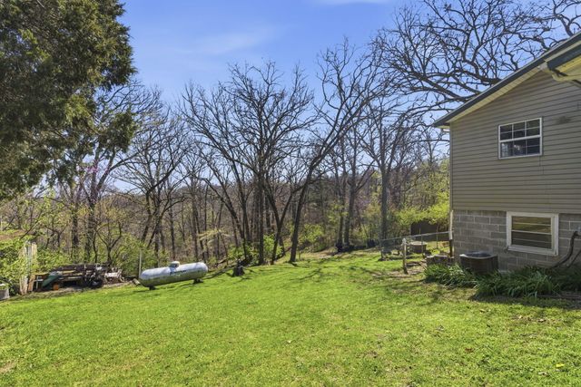 732 Skyline Drive, Forsyth, MO 65653