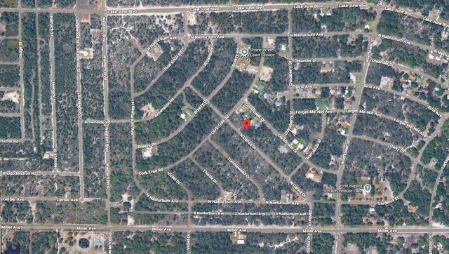 3235 N DAHLIA DRIVE, Lake Placid, FL 33852