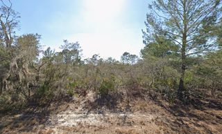 3235 N DAHLIA DRIVE, Lake Placid, FL 33852