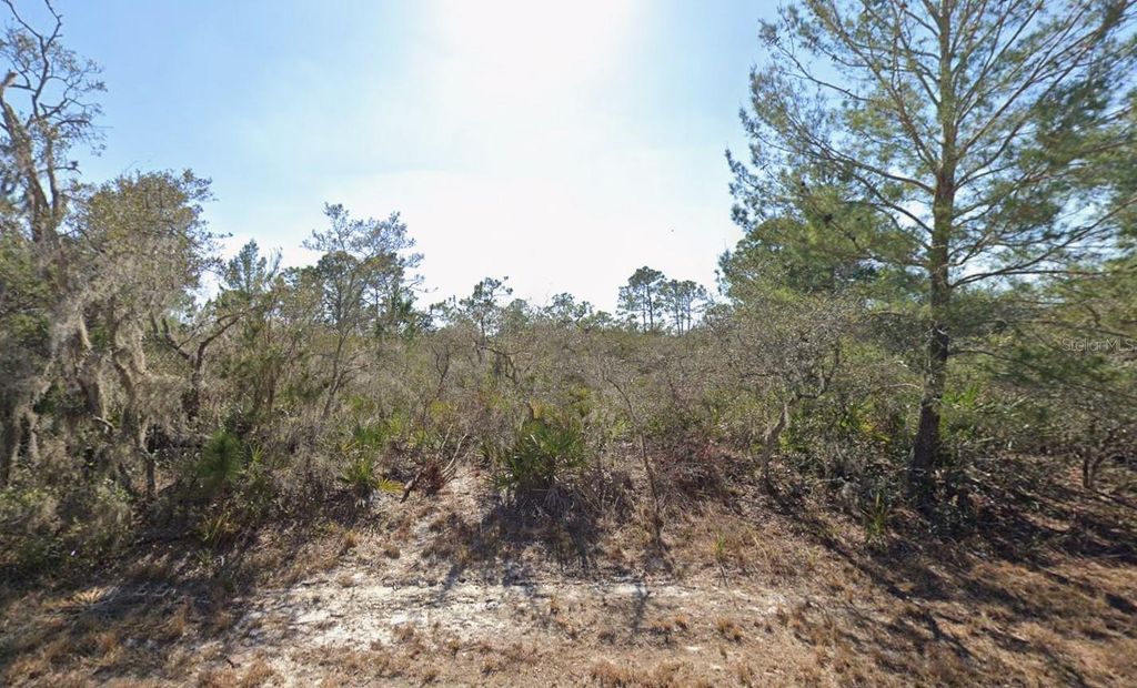 3235 N DAHLIA DRIVE, Lake Placid, FL 33852