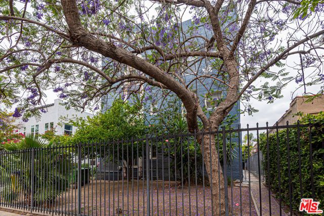 1131 Lodi Place, Los Angeles, CA 90038
