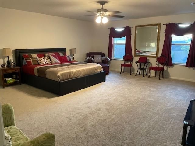 4611 Monarch Blue Lane, Fresno, TX 77545