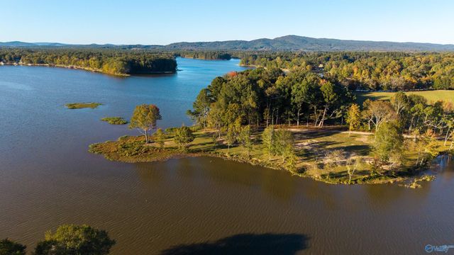 Lot 46 County Road 115, Cedar Bluff, AL 35959