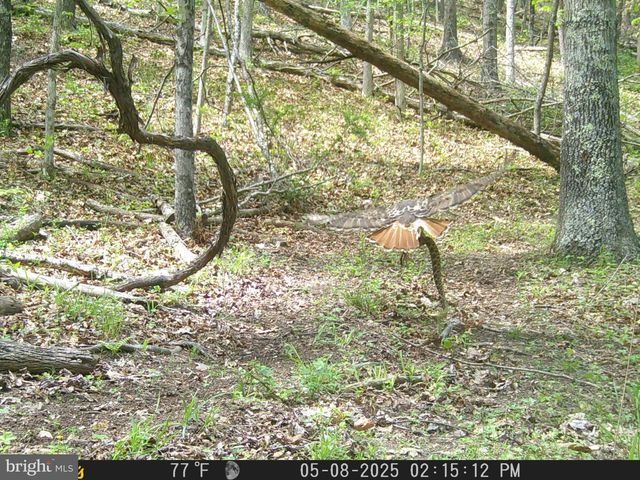 654 SOPER LN, Berkeley Springs, WV 25411