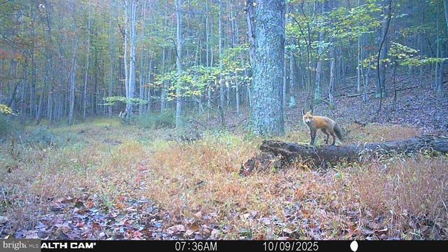 654 SOPER LN, Berkeley Springs, WV 25411