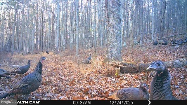 654 SOPER LN, Berkeley Springs, WV 25411