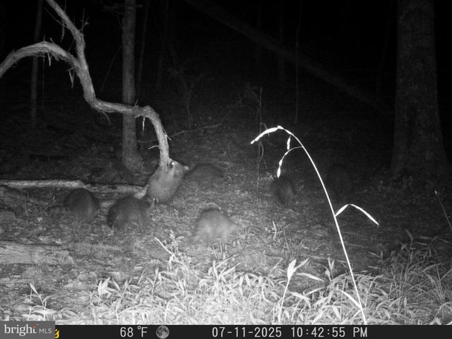 654 SOPER LN, Berkeley Springs, WV 25411