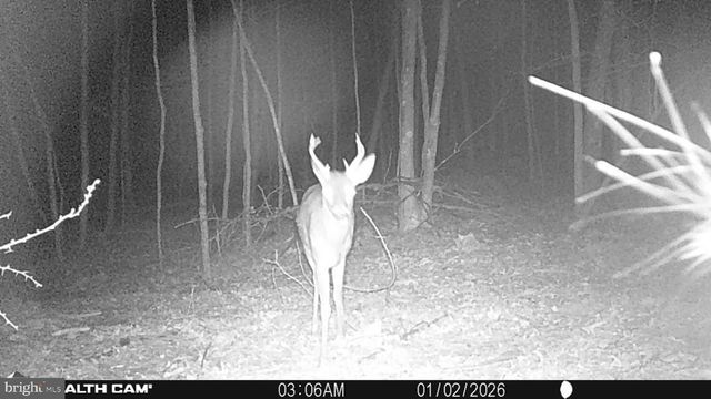 654 SOPER LN, Berkeley Springs, WV 25411