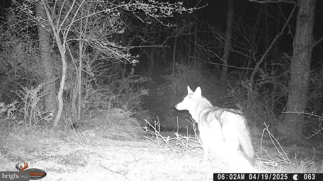 654 SOPER LN, Berkeley Springs, WV 25411