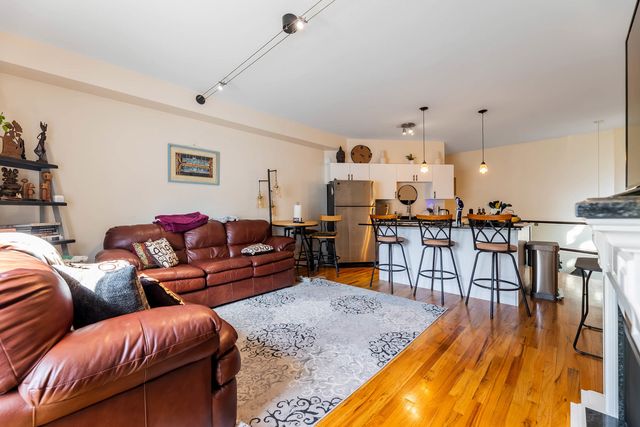 1060 N Hermitage Avenue 3, Chicago, IL 60622
