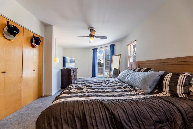 1060 N Hermitage Avenue 3, Chicago, IL 60622