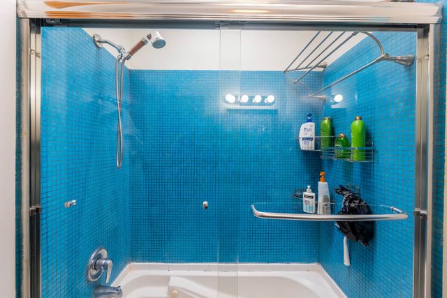 1060 N Hermitage Avenue 3, Chicago, IL 60622